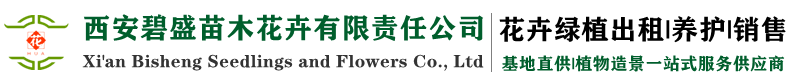 西安碧盛苗木花卉有限責任公司